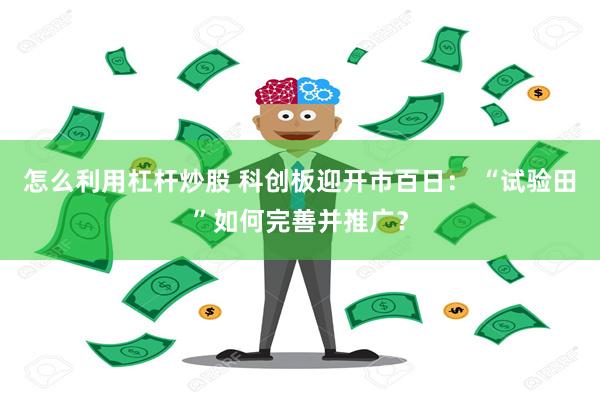 怎么利用杠杆炒股 科创板迎开市百日： “试验田”如何完善并推广？