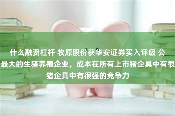 什么融资杠杆 牧原股份获华安证券买入评级 公司作为我国最大的生猪养殖企业，成本在所有上市猪企具中有很强的竞争力