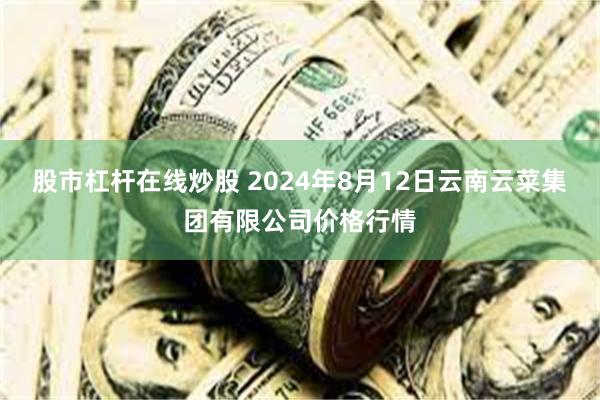 股市杠杆在线炒股 2024年8月12日云南云菜集团有限公司价格行情