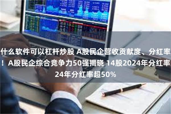 什么软件可以杠杆炒股 A股民企营收贡献度、分红率创新高！A股民企综合竞争力50强揭晓 14股2024年分红率超50%