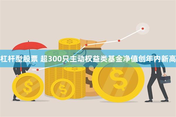 杠杆型股票 超300只主动权益类基金净值创年内新高