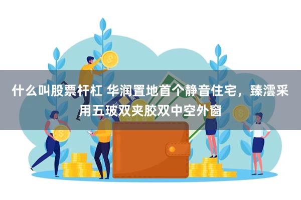 什么叫股票杆杠 华润置地首个静音住宅，臻澐采用五玻双夹胶双中空外窗