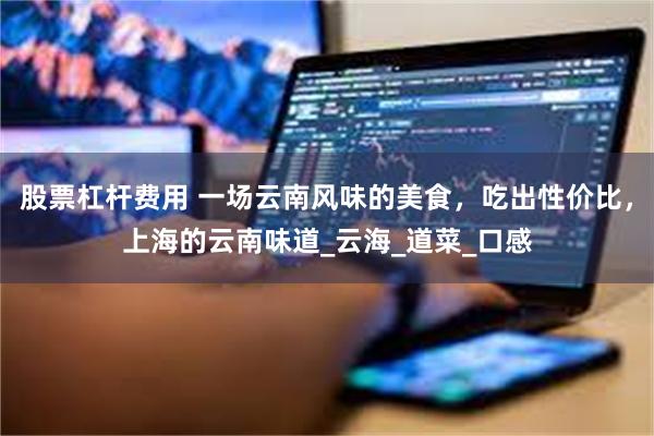 股票杠杆费用 一场云南风味的美食，吃出性价比，上海的云南味道_云海_道菜_口感